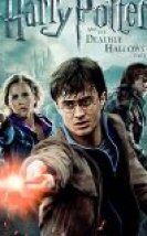 Harry Potter ve Ölüm Yadigarları 2